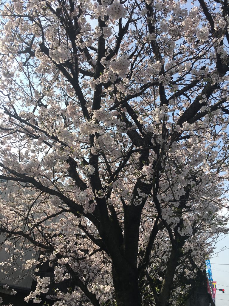 移転から1ヶ月