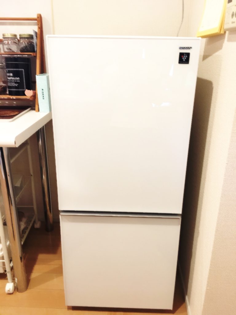 夏に向けて！