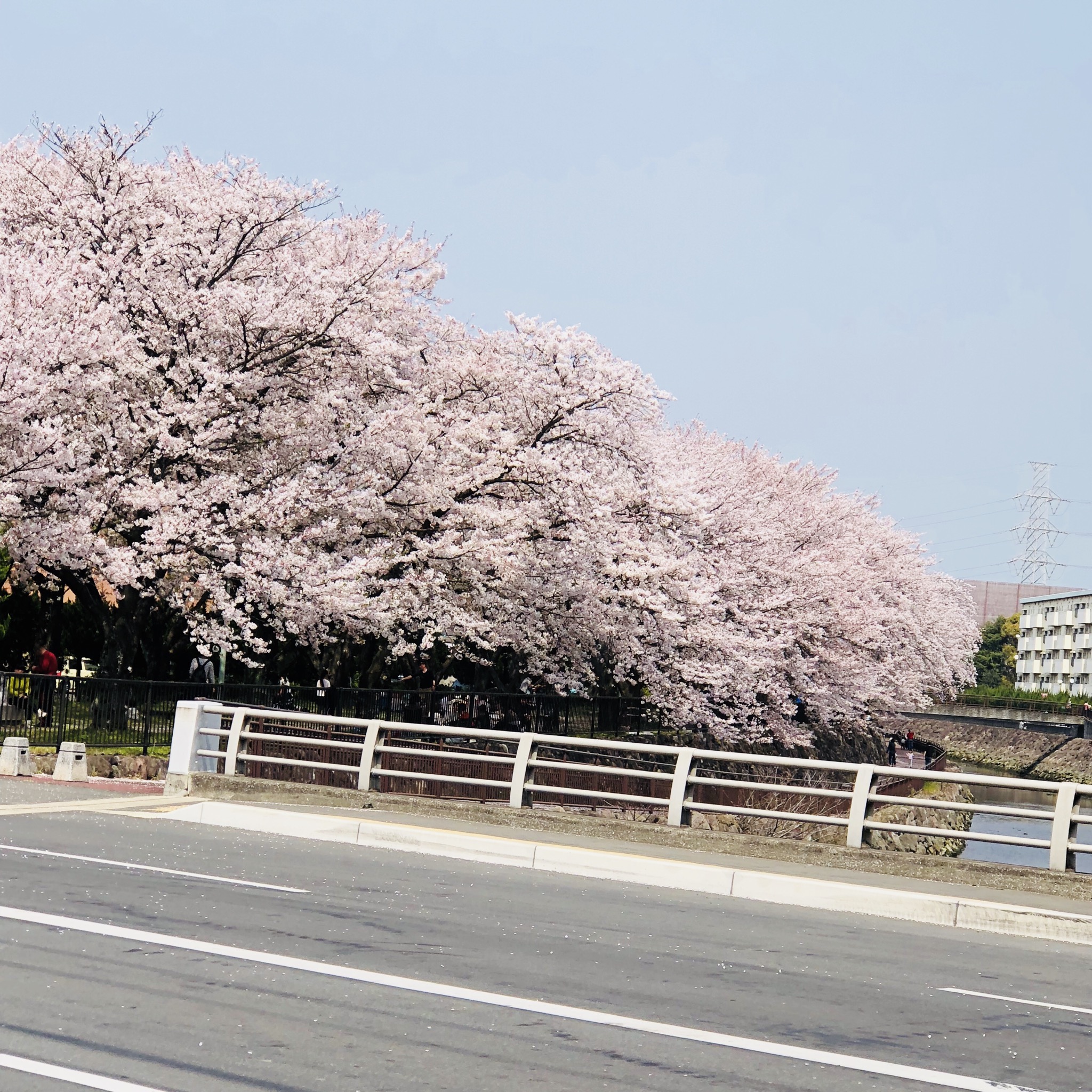4月の休み