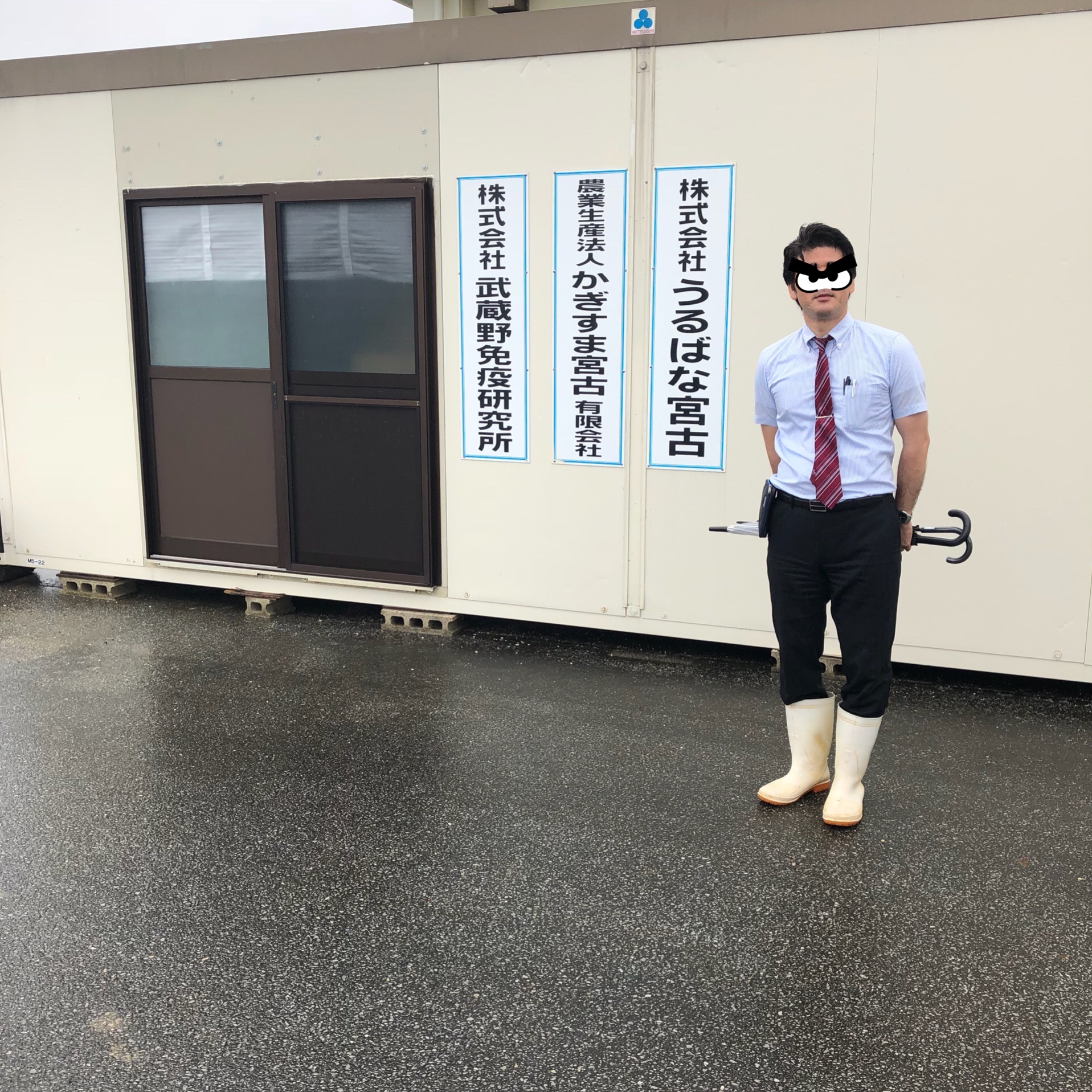 宮古ビデンスピローサの凄さ！