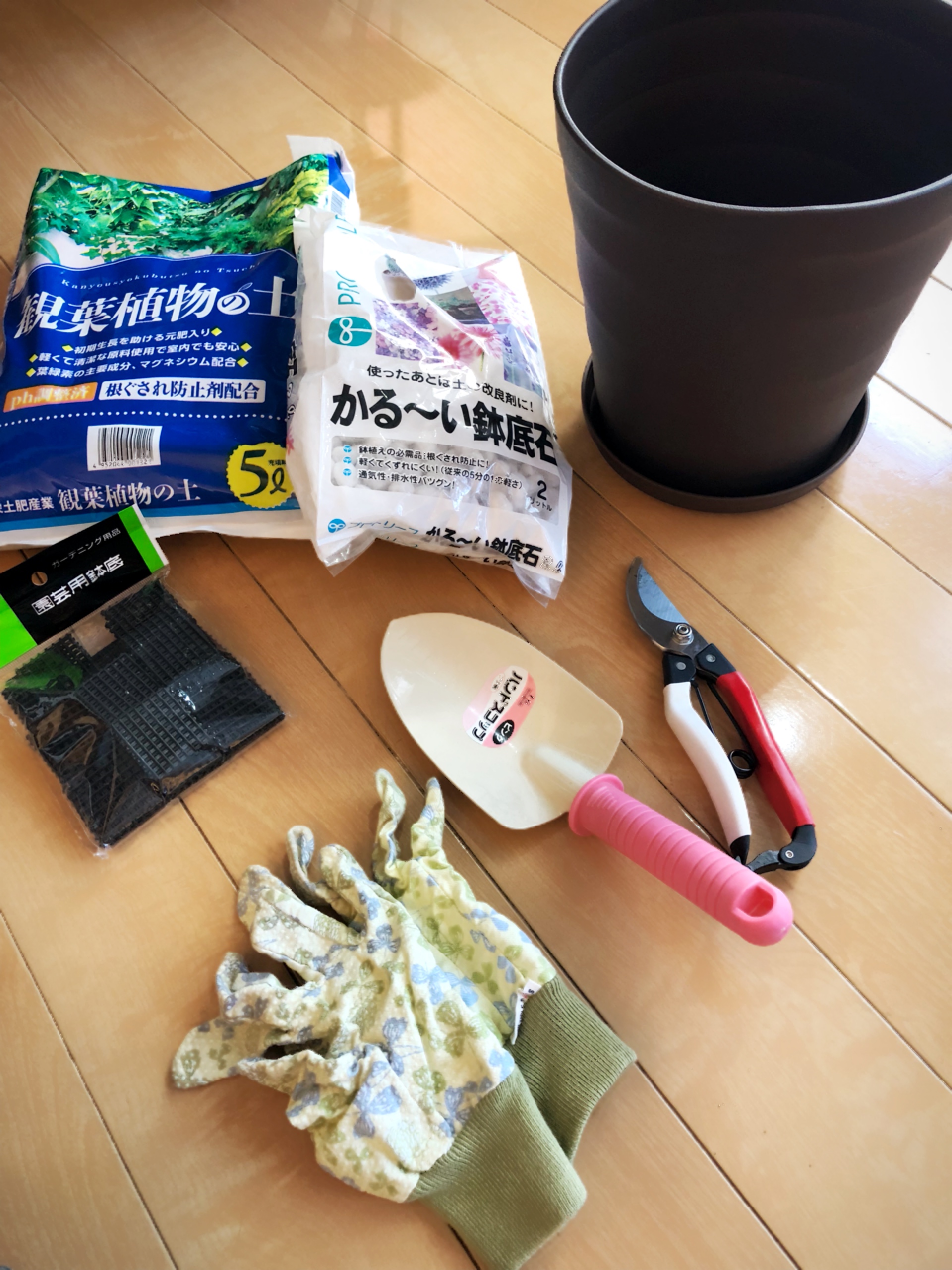 植え替えにチャレンジ！