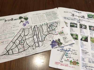 野草園とお野菜ランチ