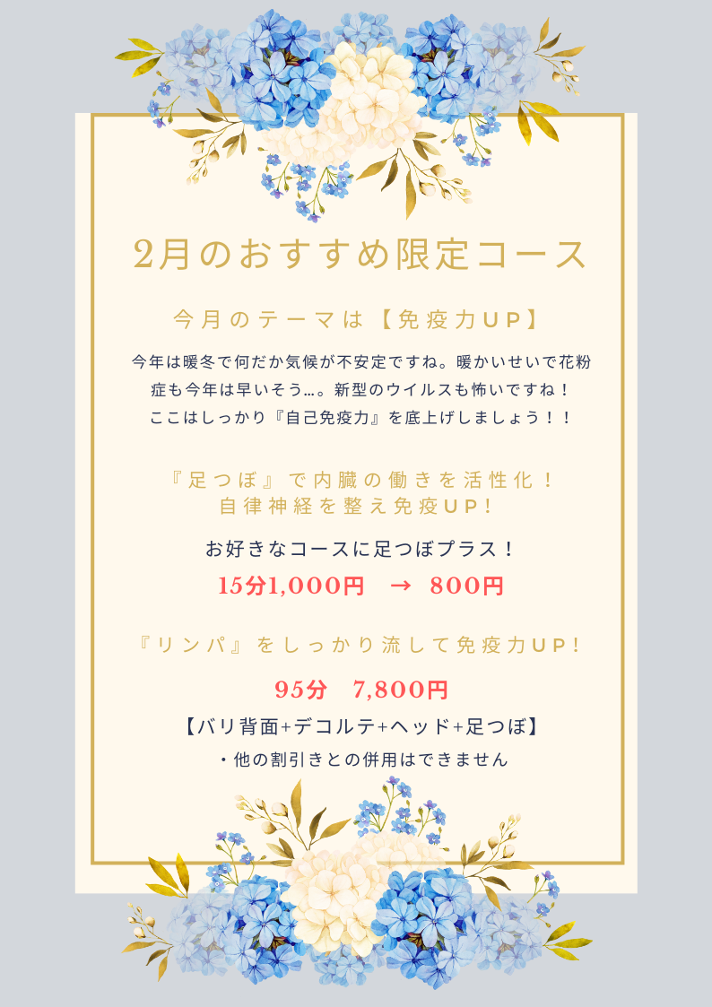 2月のおすすめ限定コース